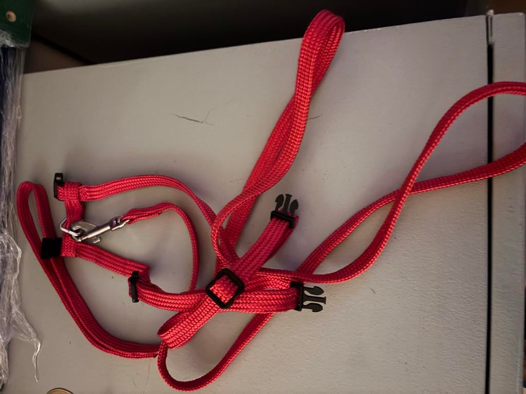 Kitten tuigje, Dieren en Toebehoren, Ophalen of Verzenden