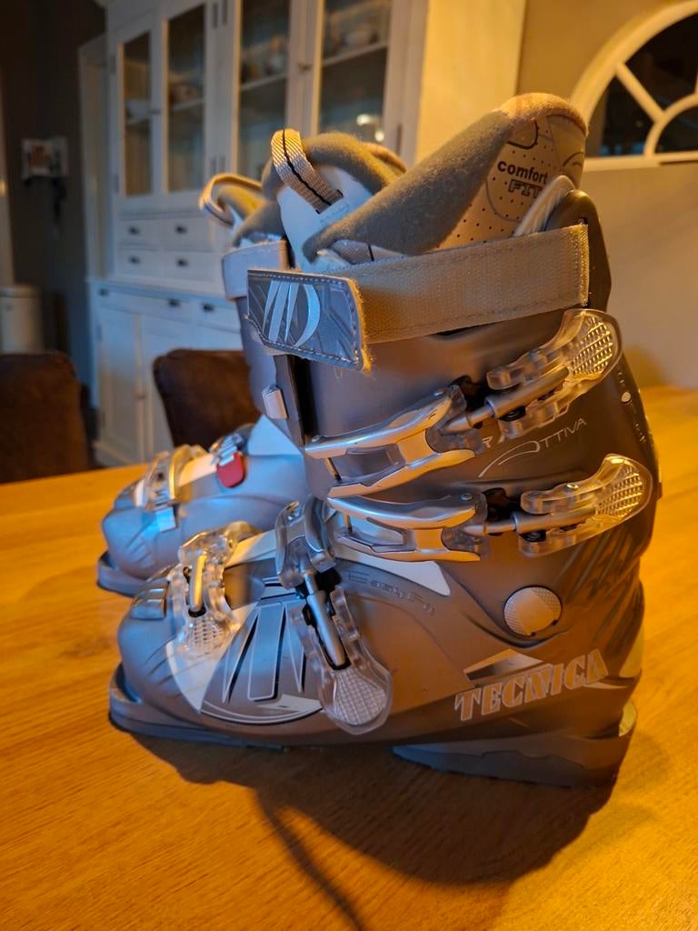 Skischoenen Technica, Overige merken, 160 tot 180 cm, Gebruikt, Schoenen