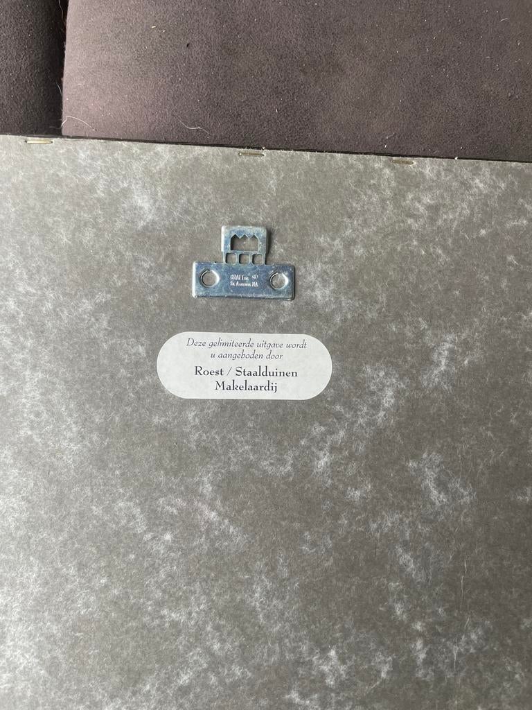 Kunstwerk Ley de Vroese - Gemeentehuis, Antiek en Kunst, Ophalen of Verzenden