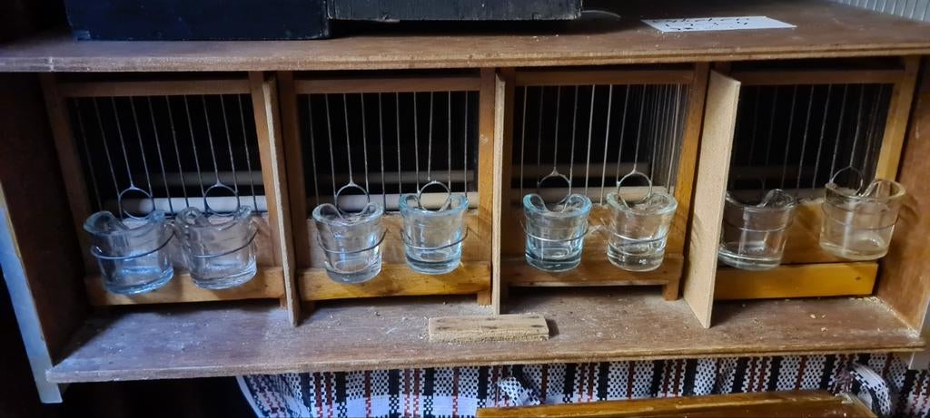 Kistkooien met Zangkooitjes en Losse Zangkooitjes., Dieren en Toebehoren, Vogels | Hokken en Kooien, Ophalen, Broedkooi of Kweekkooi