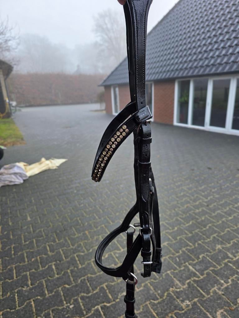 Mickle rambo hoofdstel met anky frontriem, Dieren en Toebehoren, Paarden en Pony's | Hoofdstellen en Tuigage, Ophalen