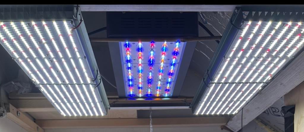 2x Led quantumboard 220 watt + viperspectra 460 watt, Ophalen, Zo goed als nieuw, Licht