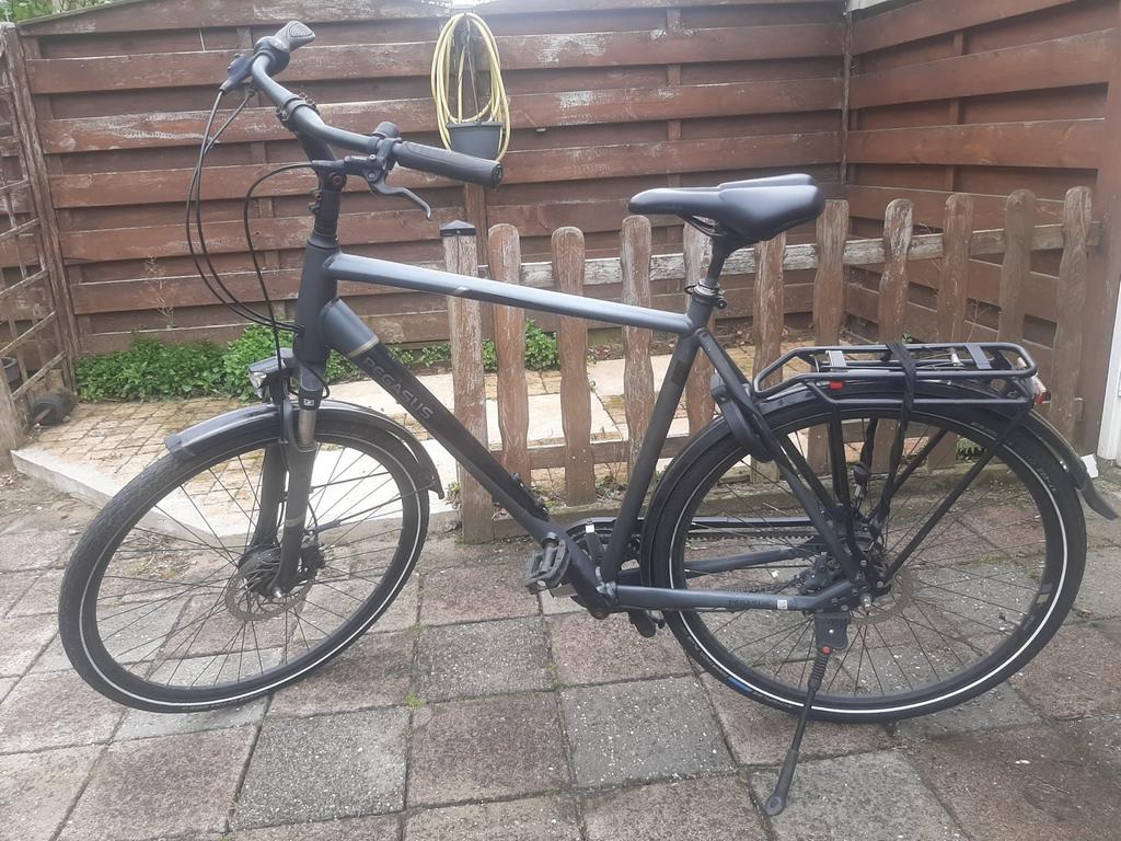 Pegasus belt drive herenfiets, Overige merken, Versnellingen, Ophalen of Verzenden, Zo goed als nieuw