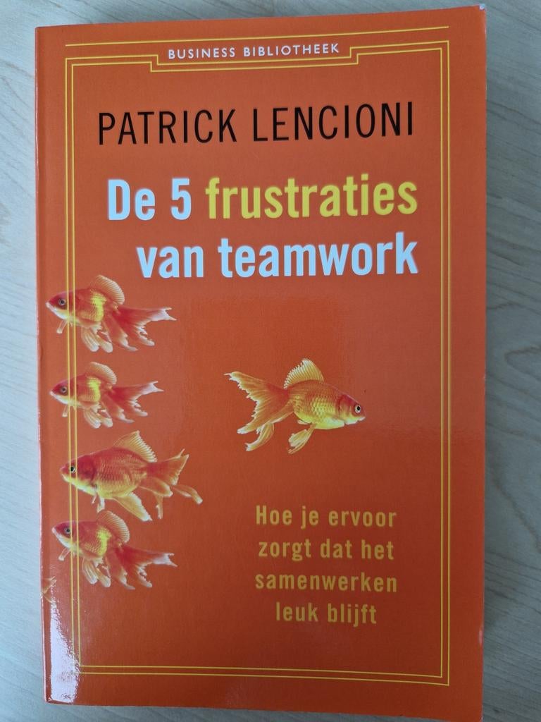 Patrick Lencioni - De 5 frustraties van teamwork, Boeken, Ophalen of Verzenden, Zo goed als nieuw, Patrick Lencioni