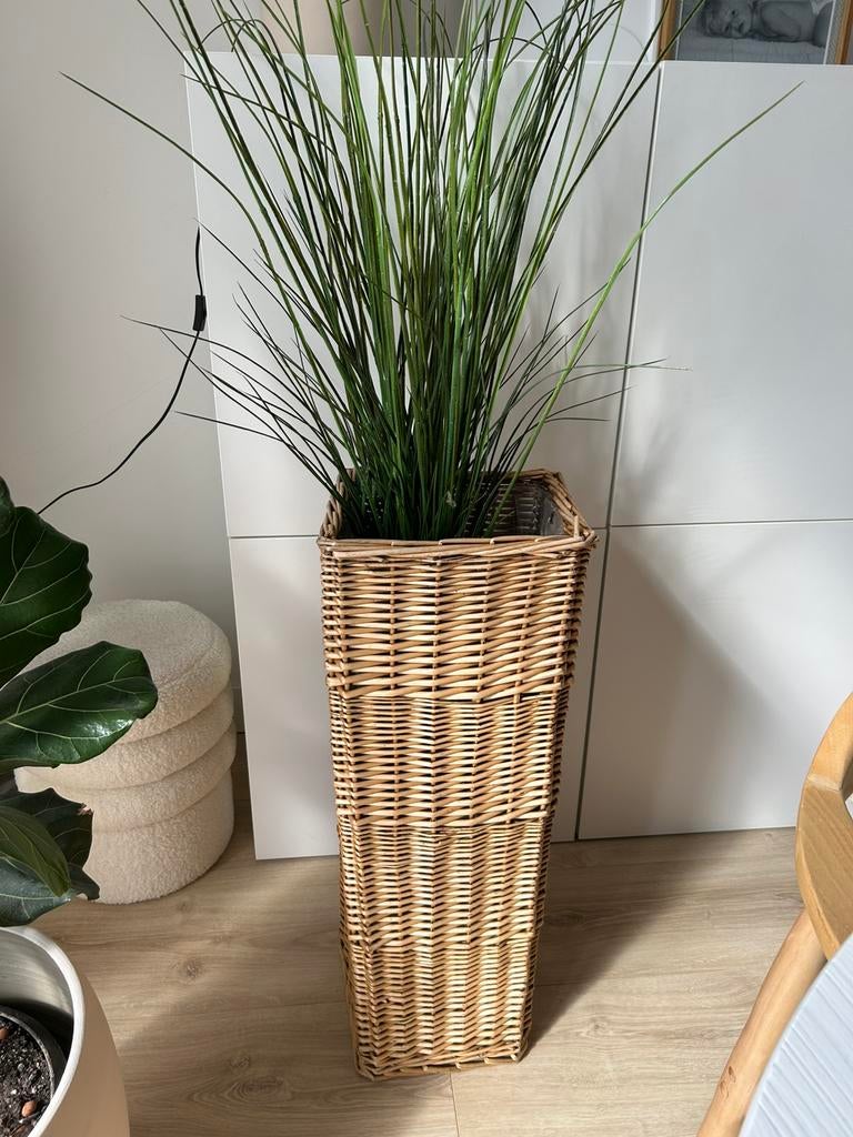 Grote rieten bloempot incl. plant ikea, Ophalen, Gebruikt, Overige vormen, 60 cm of meer
