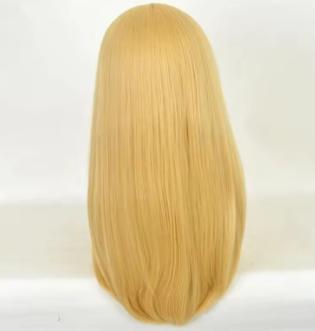 Alice in Wonderland blonde pruik synthetisch, Ophalen of Verzenden, Nieuw, Overige typen