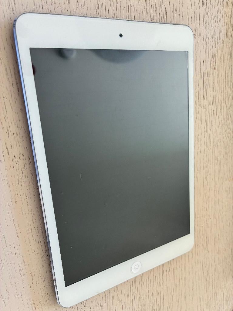 Oude tablets, Computers en Software, Apple iPads, 13 inch of meer, Apple iPad, Wit, Ophalen of Verzenden