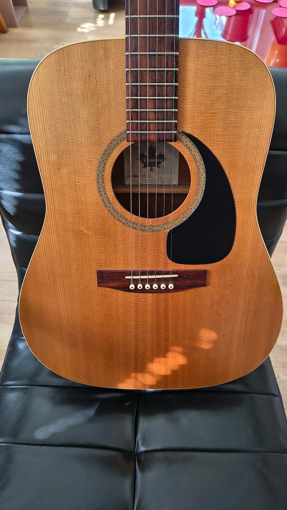 Norman B20 (6) gitaar, Muziek en Instrumenten, Snaarinstrumenten | Gitaren | Akoestisch, Ophalen, Gebruikt, Western- of Steelstringgitaar