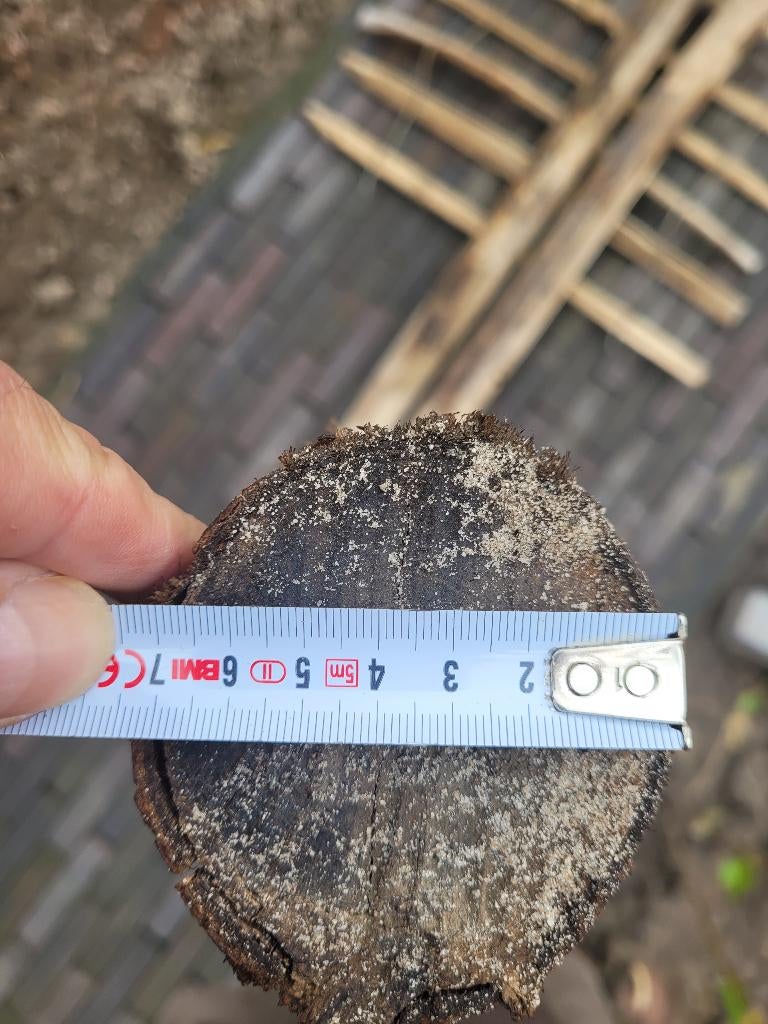 Schapenhek inclusief palen, Ophalen, Nieuw, Hout, Tuinhek