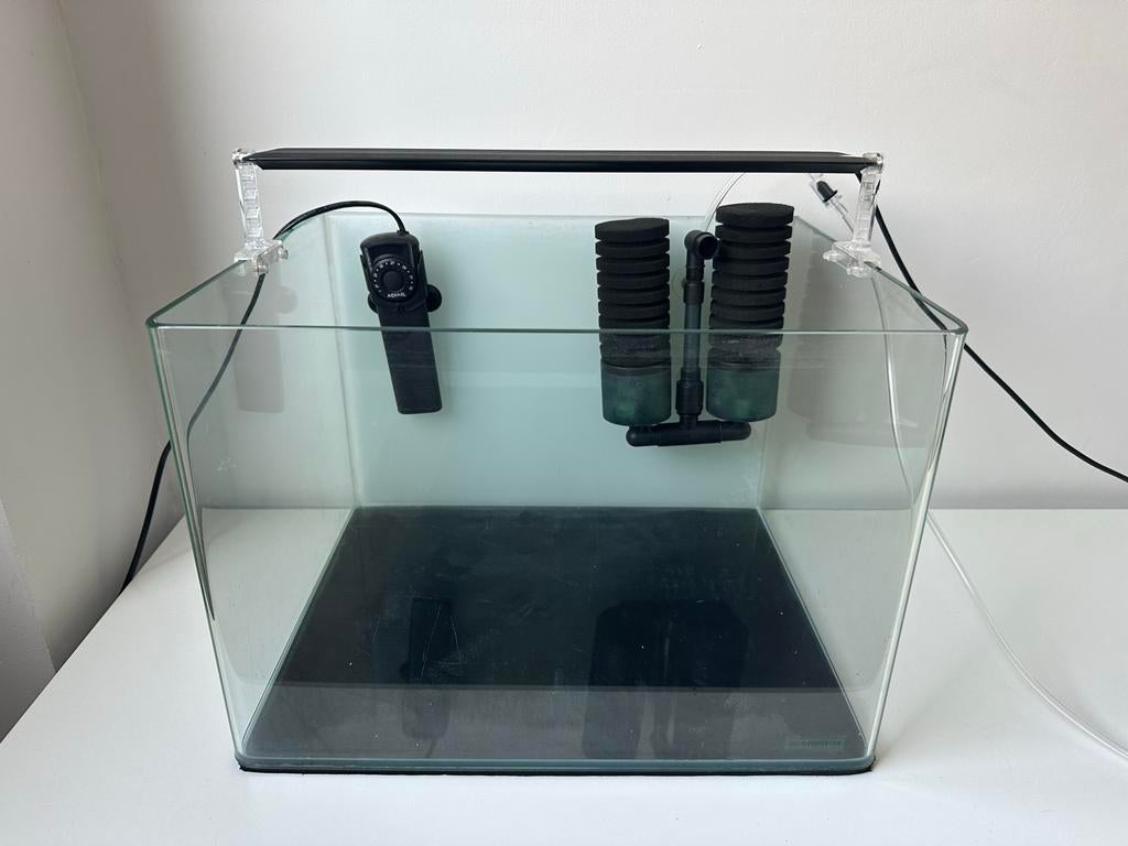 Dennerle 55l aquarium compleet, Ophalen, Gebruikt, Dennerle, Leeg aquarium