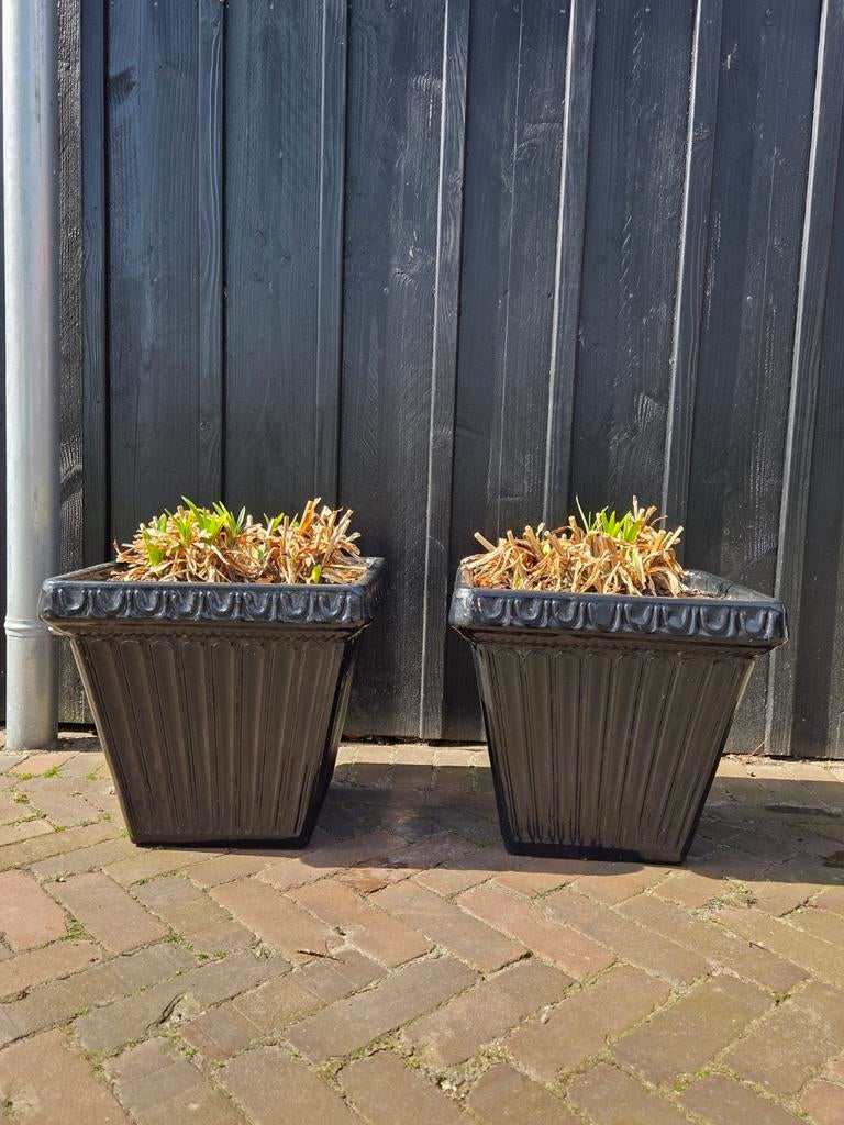 2 grote zwarte terracotta bloempotten met agapanthus, Steen, Vierkant, Ophalen of Verzenden, Balkon