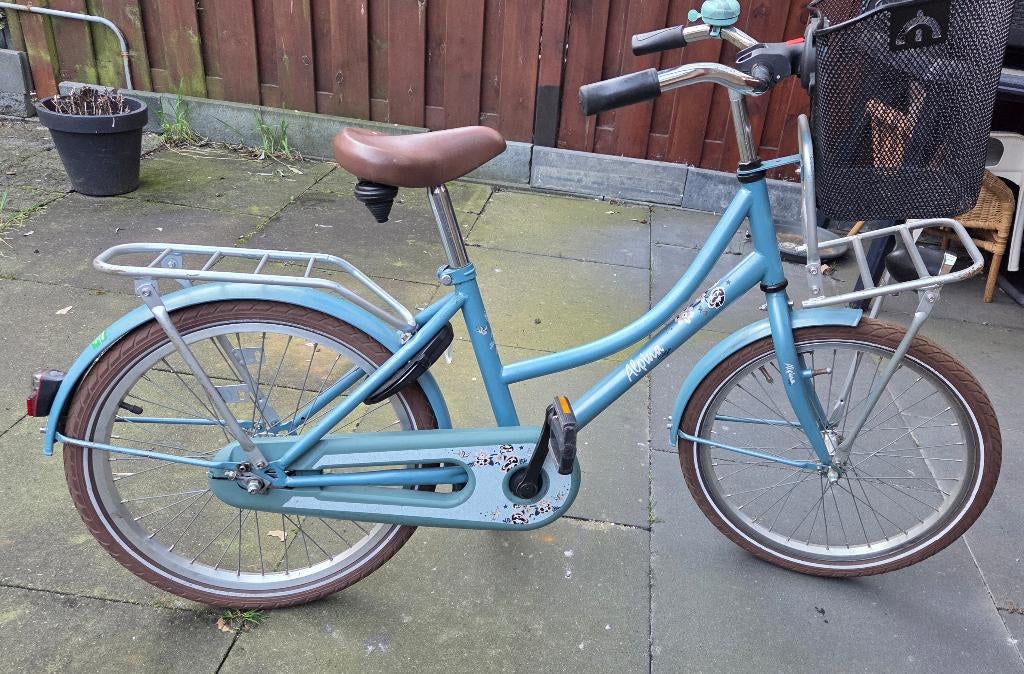 Alpina meisjes fiets 20 inch, Fietsen en Brommers, Ophalen, Gebruikt, Alpina, Handrem