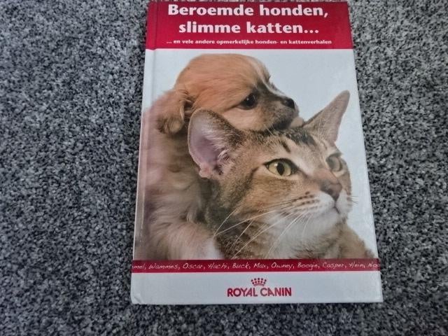 Beroemde honden, slimme katten, Ophalen of Verzenden, Zo goed als nieuw, Katten