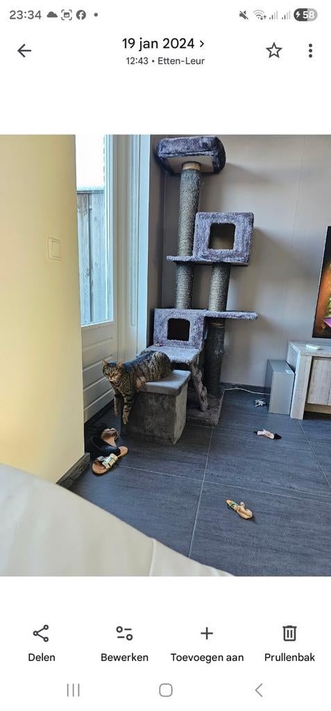 Krabpaal, Ophalen of Verzenden, Krabpaal