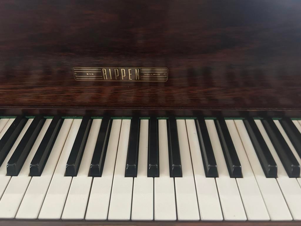 Rippen baby vleugel collectors item jaren 60, Ophalen, Gebruikt, Overige kleuren, Vleugel