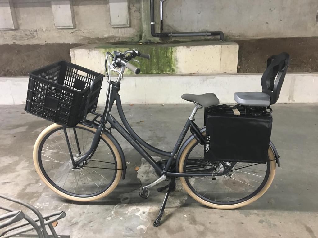 Batavus Donna elektrische fiets met kinderzitje, Ophalen, Gebruikt, Batavus, 51 tot 55 cm