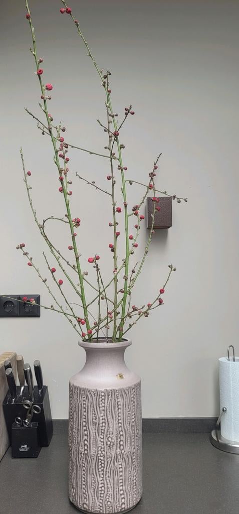 Grote beige vaas van WestGermany., Ophalen, Gebruikt, Overige kleuren, Aardewerk of Porselein