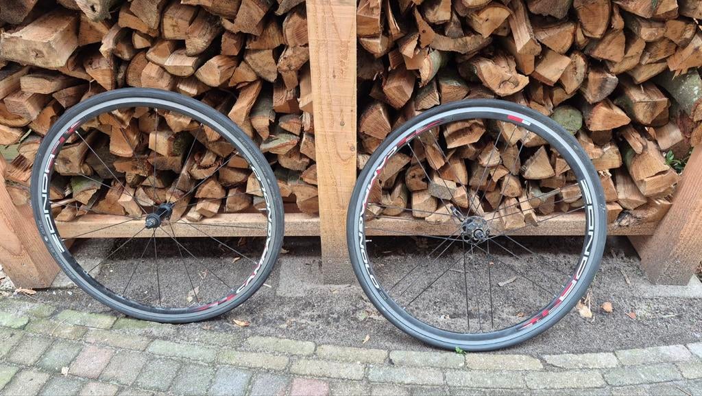 Campagnolo Zonda Wielset Velgrem, Gebruikt, Campagnolo, Aluminium, Racefiets