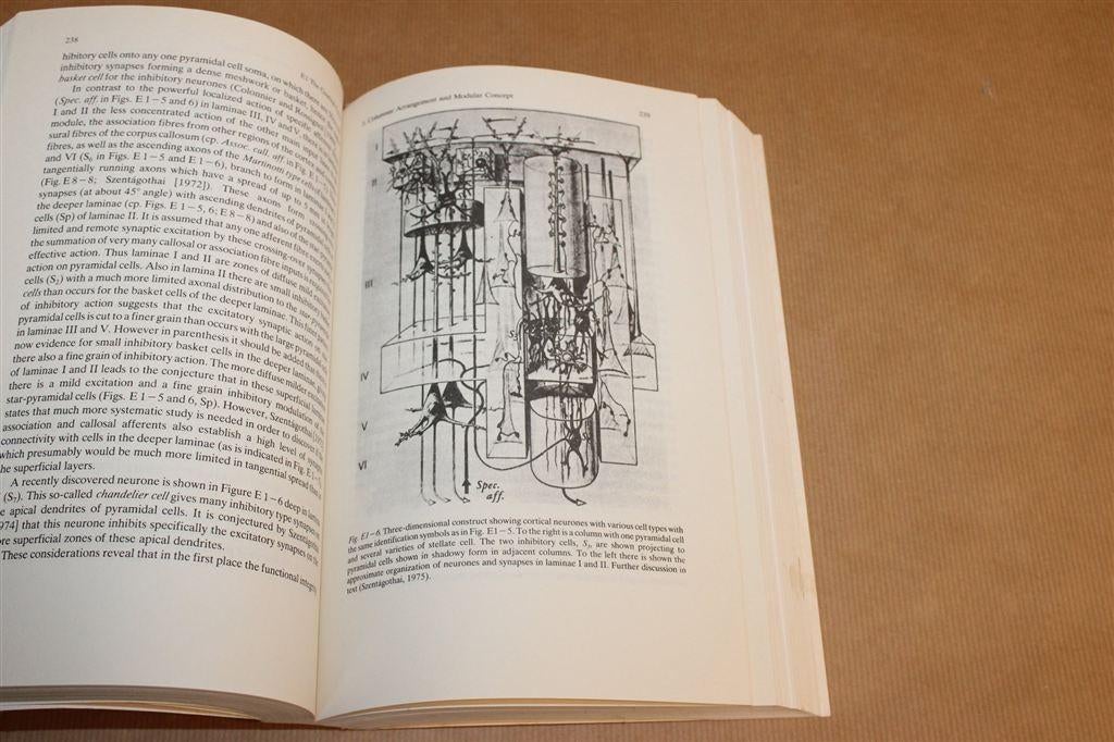 Popper & Eccles — Brein & Bewustzijn, Dik [EN], Boeken, Ophalen of Verzenden, Gelezen