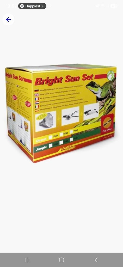 Lucky reptile jungle, Ophalen, Verlichting