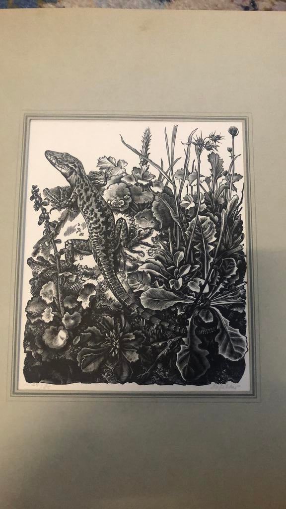 Dirk van Gelder houtgravure, Antiek en Kunst, Ophalen of Verzenden