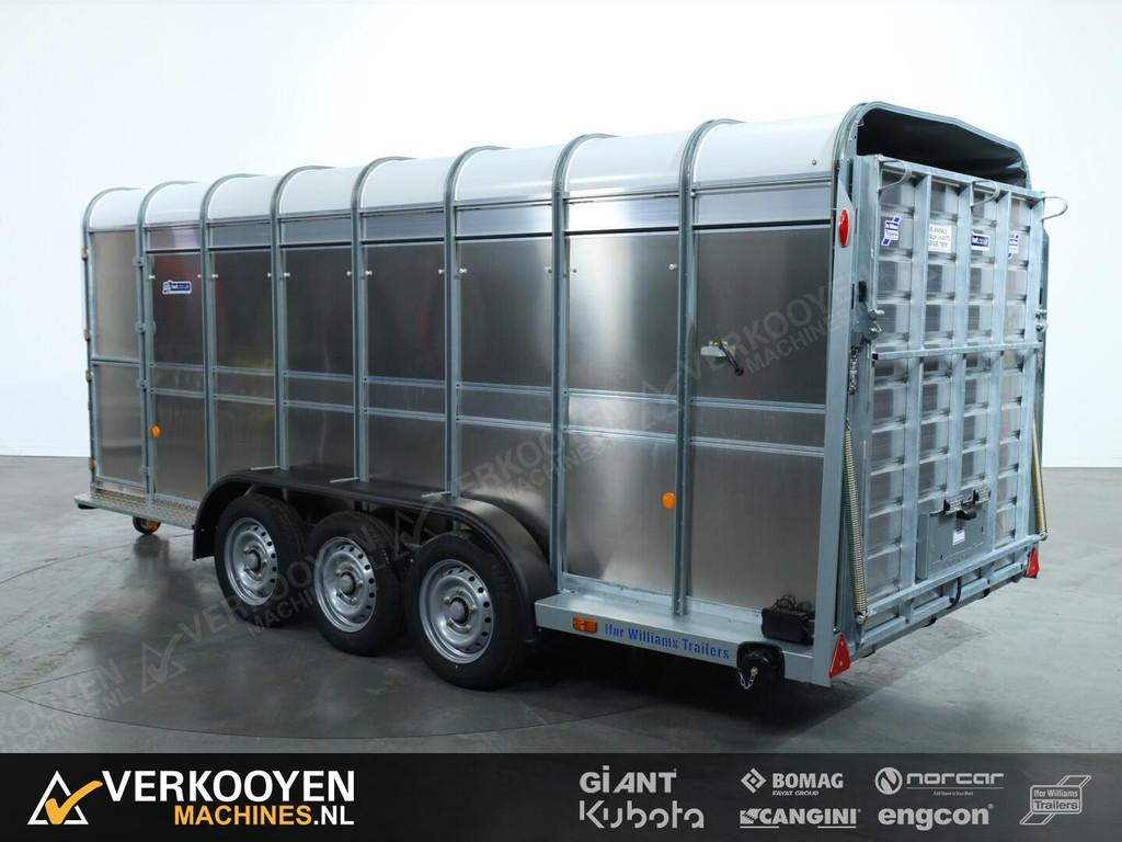 2025 Ifor Williams TA510 16x6 (497x178x182cm) Veetrailer 3-a, Veehouderij, Overige typen