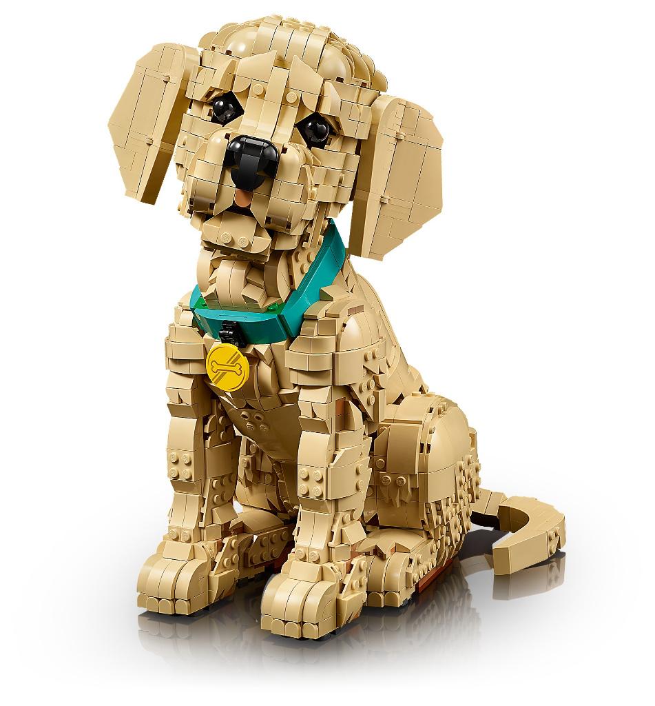 LEGO 11384 LEGO Icons Golden Retriever Puppy 2102 delig, Lego, Nieuw, Ophalen of Verzenden, Icons