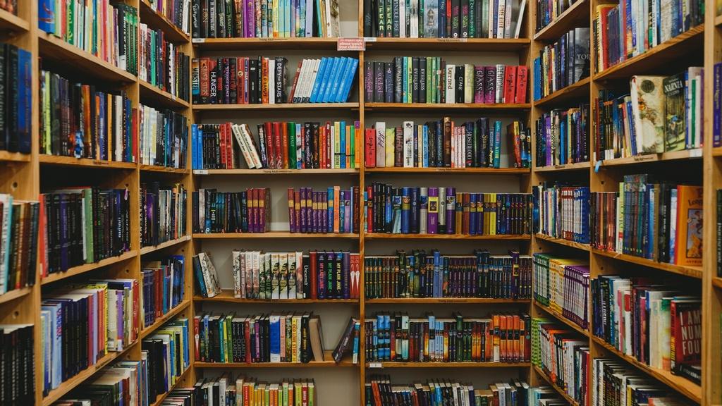 Unieke Boekenverzameling: 4000+ Titels Literatuur tot Kunst, Ophalen, Zo goed als nieuw, Verschillende onderwerpen