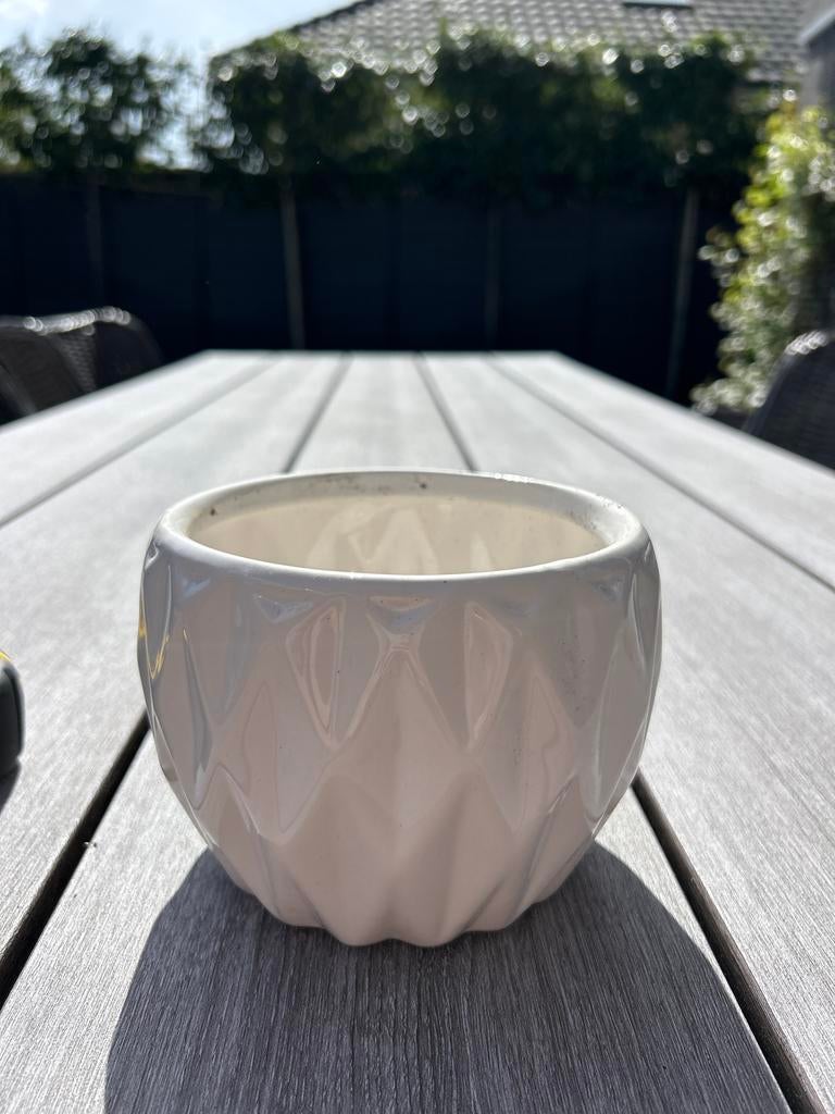 Witte bloempot 14 cm - Stijlvol en compact, Tuin en Terras, Ophalen, Gebruikt, Rond, Binnen