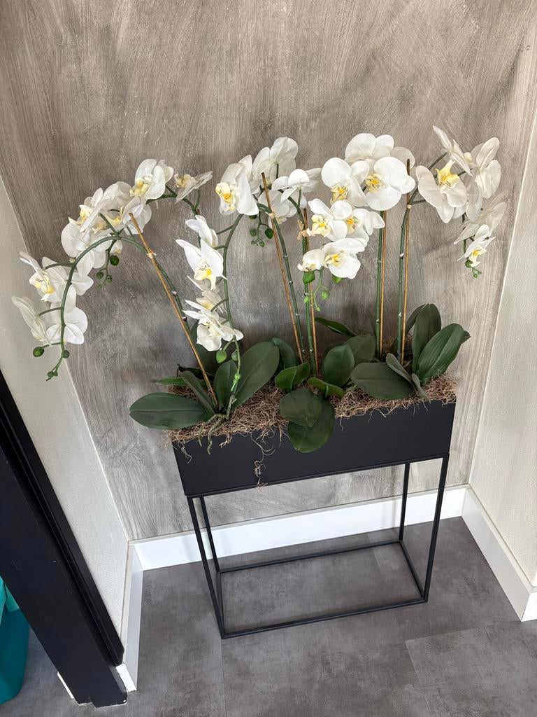 Kunst orchideeën in stalen bak, Ophalen, Binnen, Kunstplant, Kunststof