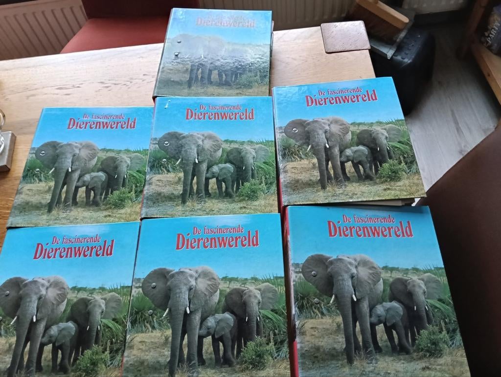 Dierenwerld, Ophalen of Verzenden, Zo goed als nieuw, Paarden of Pony's