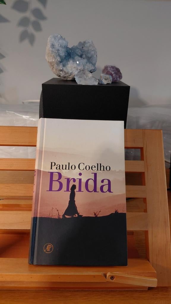 Brida - Paulo Coelho, Ophalen of Verzenden, Zo goed als nieuw, Paulo Coelho, Nederland