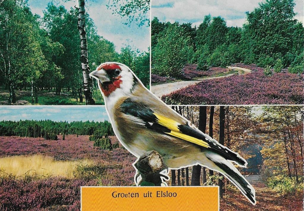 Elsloo Friesland Gelopen Ansichtkaart (B61), Ophalen of Verzenden, 1980 tot heden, Gelopen, Friesland