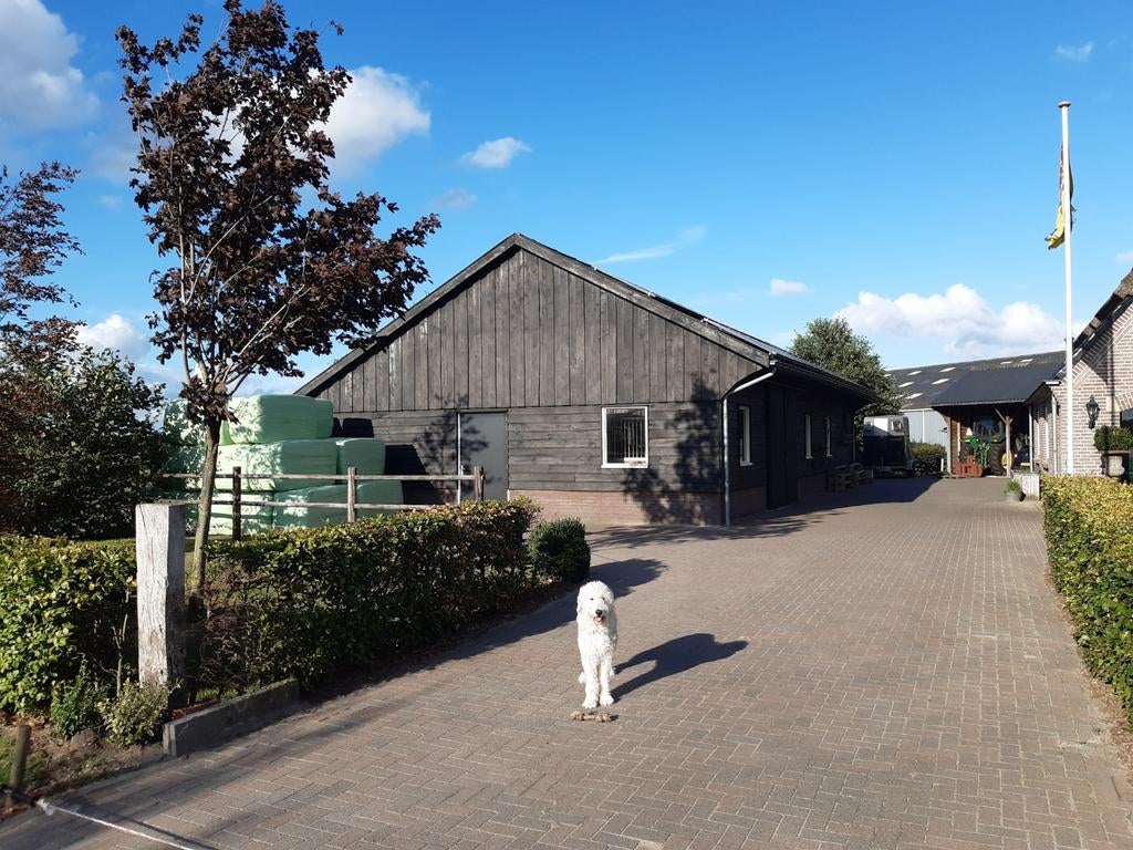 Pensionstalling  voor paard en pony., Weidegang