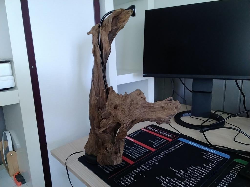 Tafellamp drijfhout, Ophalen of Verzenden, Onbekend, 60 Hz of minder, Overige typen