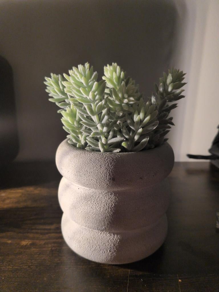 Nep plantje super leuk  voor decoratie, Tuin en Terras, Bloempotten, Ophalen of Verzenden, Rond, Minder dan 25 cm, Minder dan 40 cm