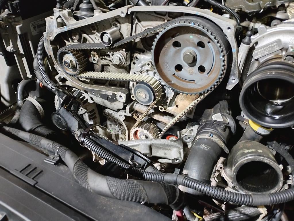 Stelvio Distributie riem 2,2 jtd Alfa Romeo, Auto-onderdelen, Motor en Toebehoren, Ophalen of Verzenden, Nieuw, Alfa Romeo