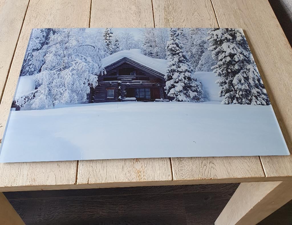 Plexiglas schilderij /foto, Minder dan 50 cm, 50 tot 75 cm, Ophalen of Verzenden, Zo goed als nieuw