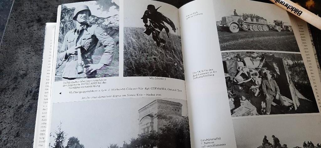 Panzerdivision Wiking, Ophalen of Verzenden, Tweede Wereldoorlog, Gelezen, Overige onderwerpen