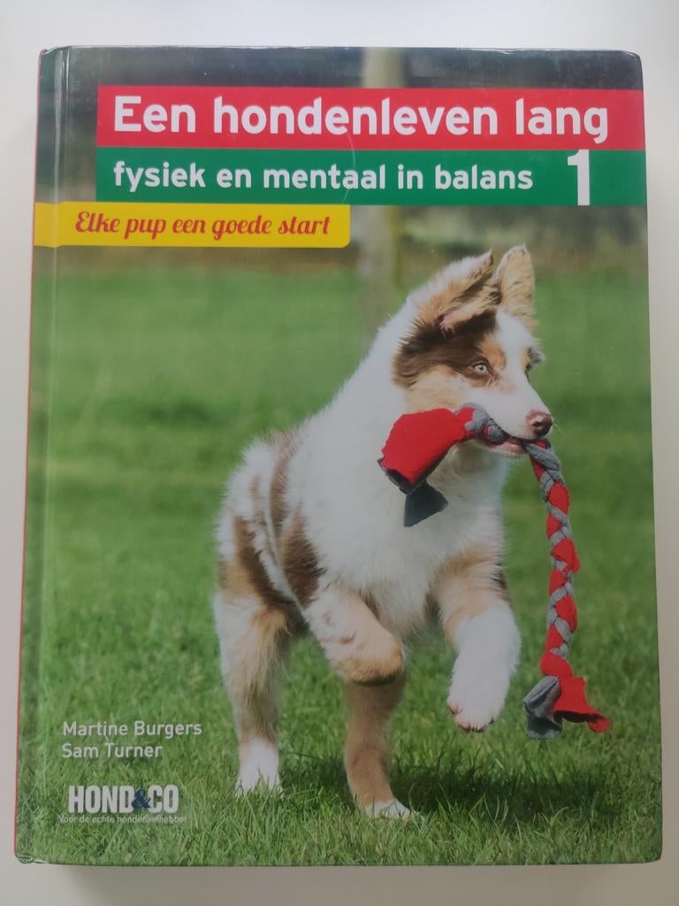 Martine Burgers - Elke pup een goede start, Honden, Ophalen of Verzenden, Zo goed als nieuw, Martine Burgers; Sam Turner