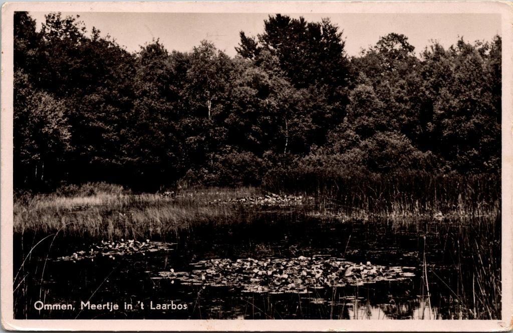 Ommen - Meertje in 't Laarbos (1953), Verzenden, 1940 tot 1960, Gelopen, Overijssel