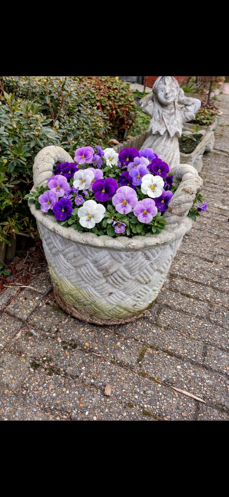 Betonnen bloembak, bloemenmand beton, Tuin en Terras, Bloembakken en Plantenbakken, Ophalen, Gebruikt, Rond, Beton