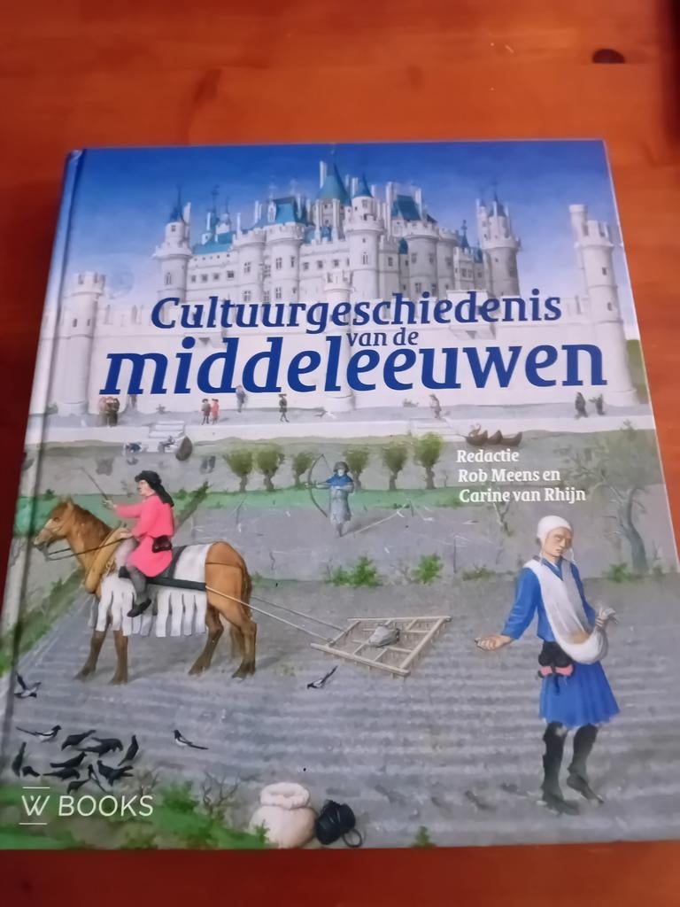 Cultuurgeschiedenis van de Middeleeuwen W Books. U, Ophalen of Verzenden, 14e eeuw of eerder, Europa