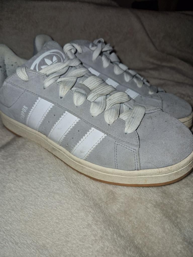 Adidas campus grijs, Kleding | Heren, Schoenen, Ophalen of Verzenden, Zo goed als nieuw, Overige kleuren