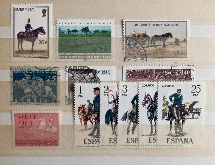 Leuke pluk paarden, Ophalen of Verzenden, Buitenland