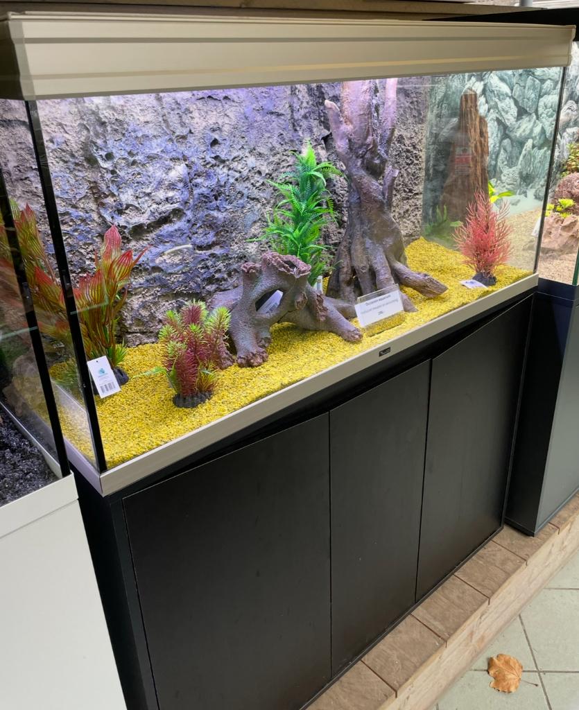 Aquatlantis 240, Vis