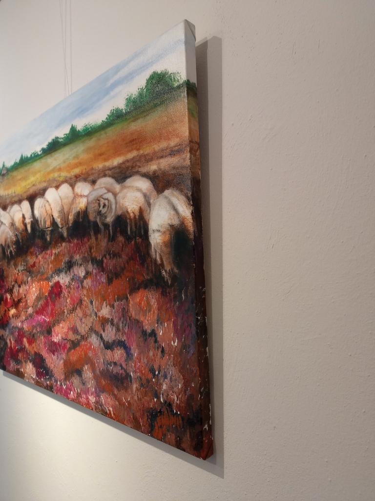 Schapen op de hei Blaricum, Ophalen