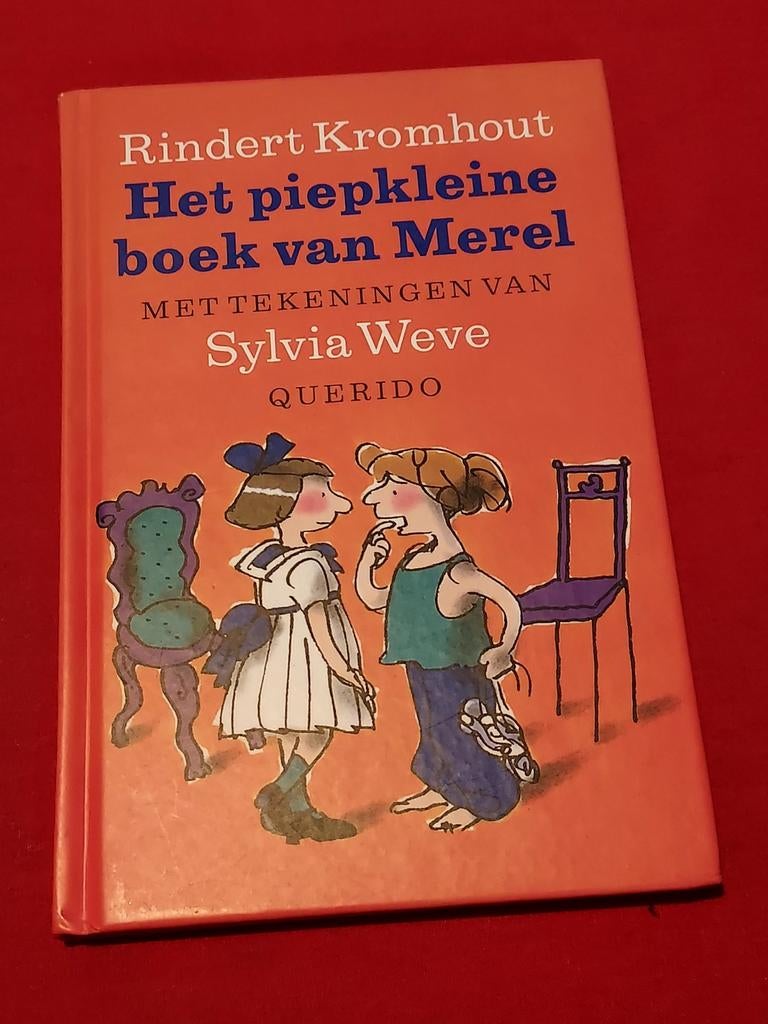 GESIGNEERD Het piepkleine boek van Merel. R. Kromhout., Ophalen of Verzenden, Gelezen, Fictie algemeen