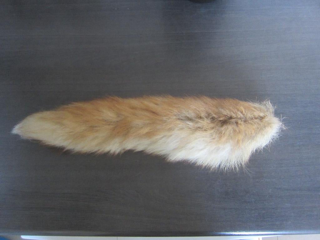 taxidermie vossenstaart   43 cm, Ophalen of Verzenden, Zo goed als nieuw, Wild dier, Opgezet dier