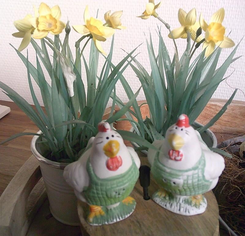 Vintage Peper en zout stel kippetjes met schortje, Ophalen of Verzenden